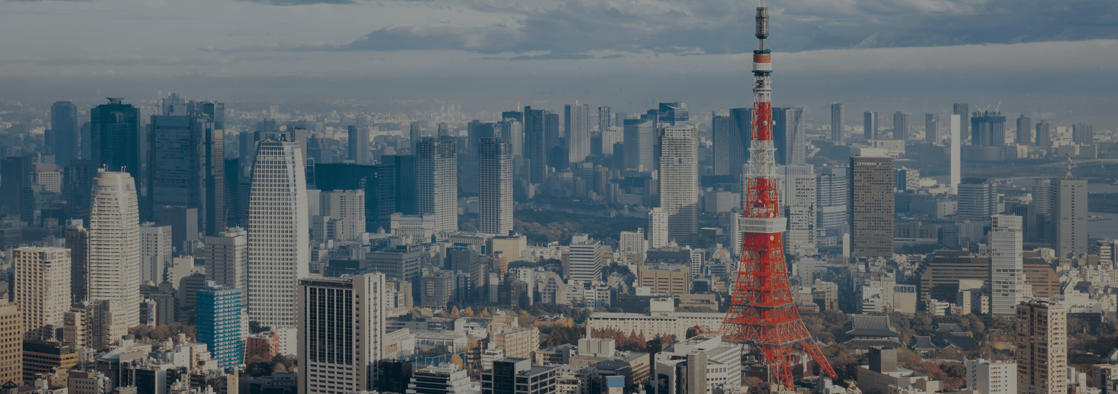 ビルが立ち並ぶ都心の様子